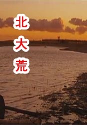 久久久久久久精品视频